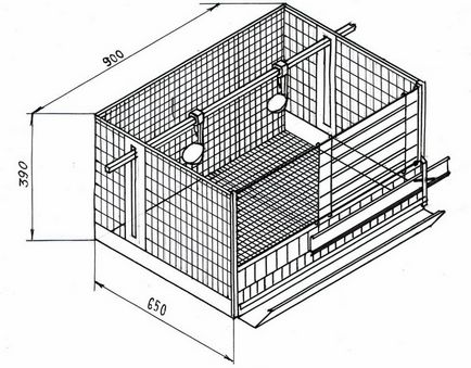 celule de pui de găină, cum să facă propriile mâini, desene, dimensiuni, fotografii și instrucțiuni video,