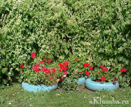 Paturi de anvelope 35 de fotografii ale celor mai frumoase paturi de flori de anvelope