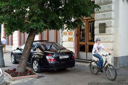 Când copacii erau mari, mai proaspăt - cel mai bun din ziua în care ați avea nevoie vreodată!