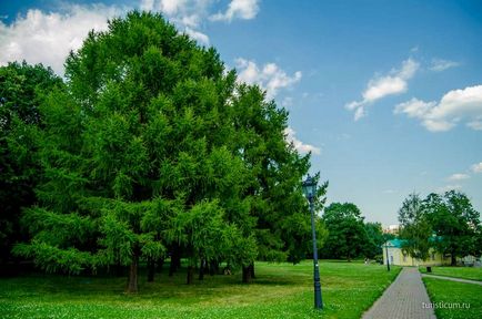 Kolomenskoye - Muzeu-Reserve, o plimbare în parc, București