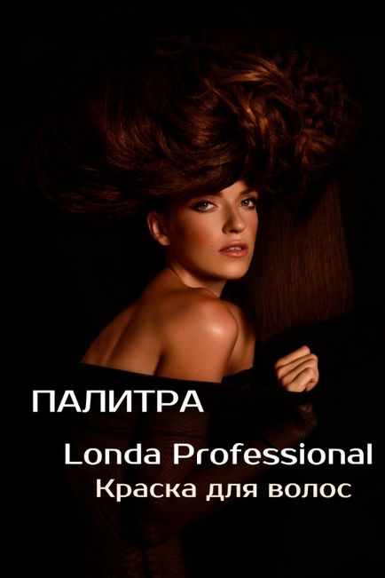 vopsea de par Londa profesionale (Londa Professional)