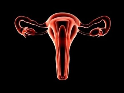 Sângerarea între perioadele, sângerări intermenstruale