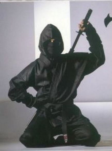 Cine sunt ninjas (Shinobi)