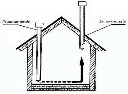 Coop de pui pentru găinile ouătoare, cu mâinile lor - cum să construiască în mod corespunzător!