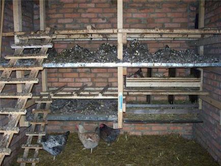 Coop de pui pentru găinile ouătoare, cu mâinile lor - cum să construiască în mod corespunzător!