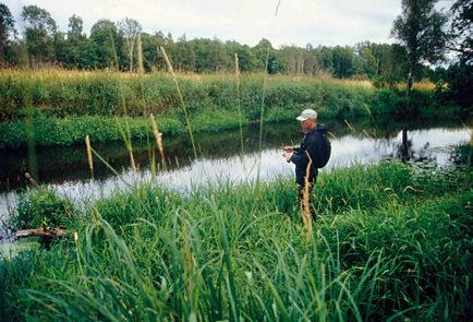 Pescuit de vară - sfaturi pescari