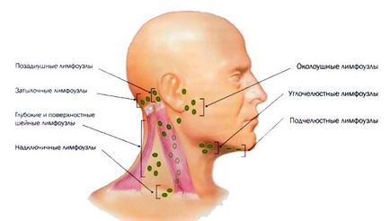 Ganglionii limfatici de la nivelul capului și gâtului unui aspect și fotografii om și copil