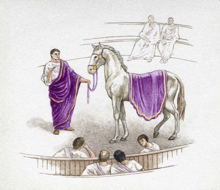 Cal-numit senator Incitatus - site-ul despre cai