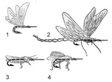 Pescuitul pe dragonflys și larva sale (Kazar)