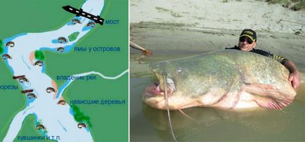 pescuit Catfish de țărm, alegerea locației, aborda și momeală