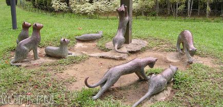 Malaezia, Borneo, Sarawak Muzeul și monumente pisici pisici pisici în Kuching (40 poze)