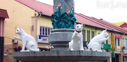 Malaezia, Borneo, Sarawak Muzeul și monumente pisici pisici pisici în Kuching (40 poze)