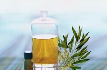 ulei de arbore de ceai, utilizarea pielii faciale, acnee, păr, pentru tratament, 20 acasă