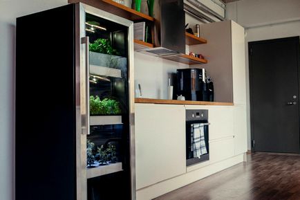 Mini-gradina intr-un apartament de 16 produse care pot fi cultivate la domiciliu