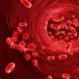 Încălcările roșii din sânge de dezvoltare anomalii ale sângelui fiziologie, provoacă tulburări ale sistemului sanguin și
