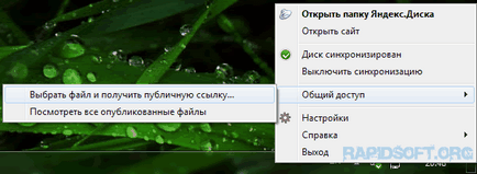 Da un exemplu de stocare cloud (Yandex Disk) Da un exemplu de stocare nor