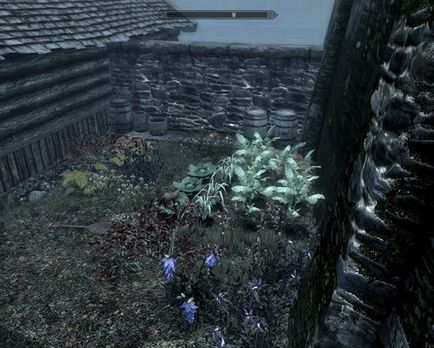 Real Estate în joc - Elder Scrolls V Skyrim, The - joc