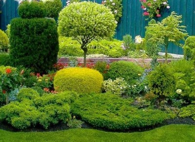 Garden Tunderea cum și când să prune copaci în grădină