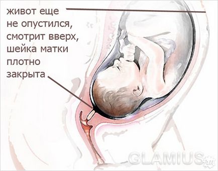 partea inferioară a abdomenului înainte de naștere