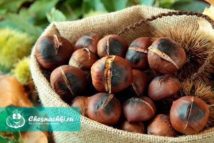 beneficii Nuts castani și a efectelor nocive ale bunatatile