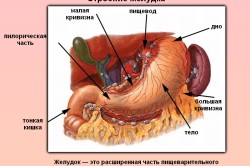 Senzație de un nod în stomac