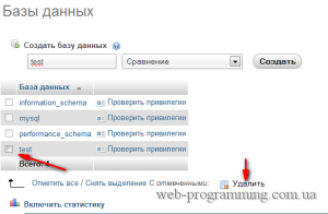 Bazele phpMyAdmin - totul despre programare web