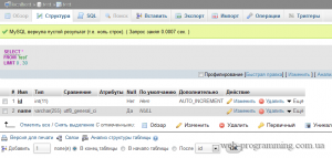 Bazele phpMyAdmin - totul despre programare web