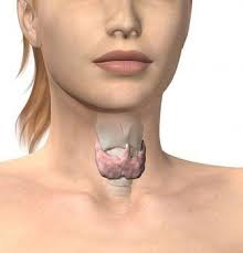 Principalele simptome ale nodurilor la nivelul glandei tiroide