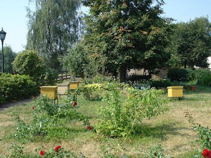 Circuit Park Estate Kolomenskoye, fotografie, adresa, cum să obțineți la metrou