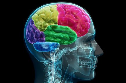 Perinatală, rezidual-organic și precoce leziuni ale creierului organic - l