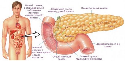 Puterea bolii pancreatice