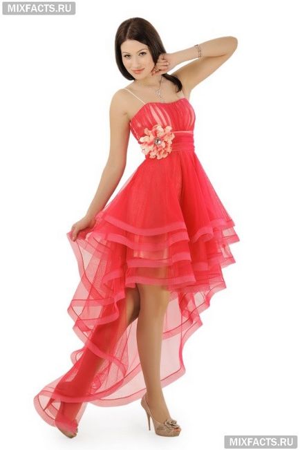 Rochie cu un tren (foto) (rochie cu un corset) Rochie cu un tren (foto)
