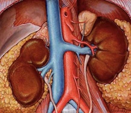 Simptomele renale si tratamentul hipertensiunii, un medicament