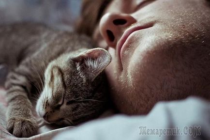 De ce pisicilor le place să doarmă pe oamenii secretele relației dintre pisici și oameni
