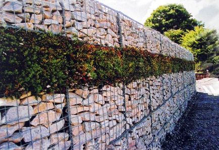 Păstrarea de perete în țară cu propriile lor mâini în beton, piatră și alte materiale
