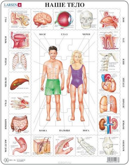 Beneficiile de puzzle-uri pentru copii