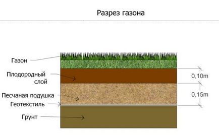 Plantarea un gazon cu propriile sale mâini în țară