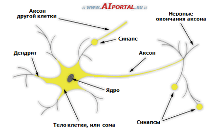 Fundaluri de inteligență artificială