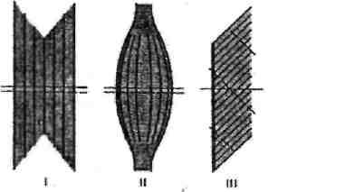 Obiect, obiective și sarcini ale anatomiei - curs, pagina 9