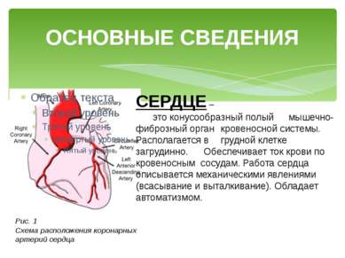Prezentare - prevenirea bolilor cardiovasculare - free download