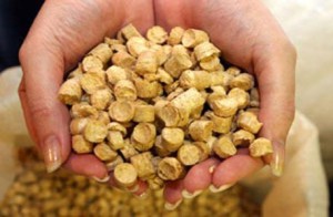Momeală pentru crap si crap modul de a găti cu mâinile lor (lor) Momeală pentru crap și crap modul de a găti propriile lor mâini