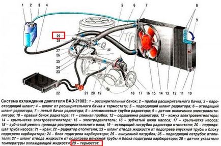 Principiul de funcționare a termostatului, dispozitivul și video a schemei de VAZ
