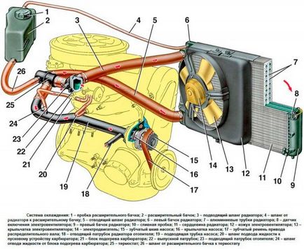 Principiul de funcționare a termostatului, dispozitivul și video a schemei de VAZ