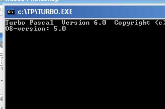 Programarea în Pascal