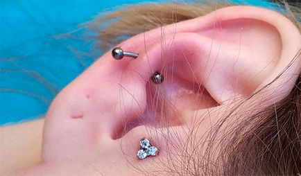 Intepati cartilajului urechii caracteristici, îngrijire și fotografia