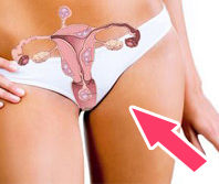 hormoni feminini din plante conținute în plante () hormoni feminini din plante conținute în plante
