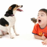 Copilul se teme de câini, cum să ajute copilul depășească frica