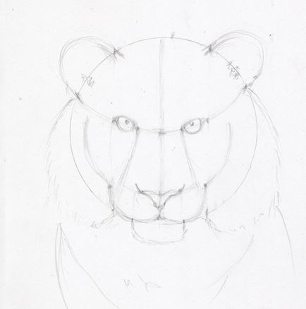 Desena o fata creion etape de tigru