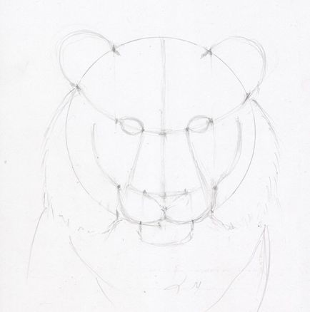 Desena o fata creion etape de tigru