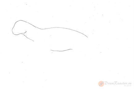 Figura tigru - lecții de desen